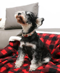 Unique Style Paws reinforced D-ring and stitching ensure leash security.
