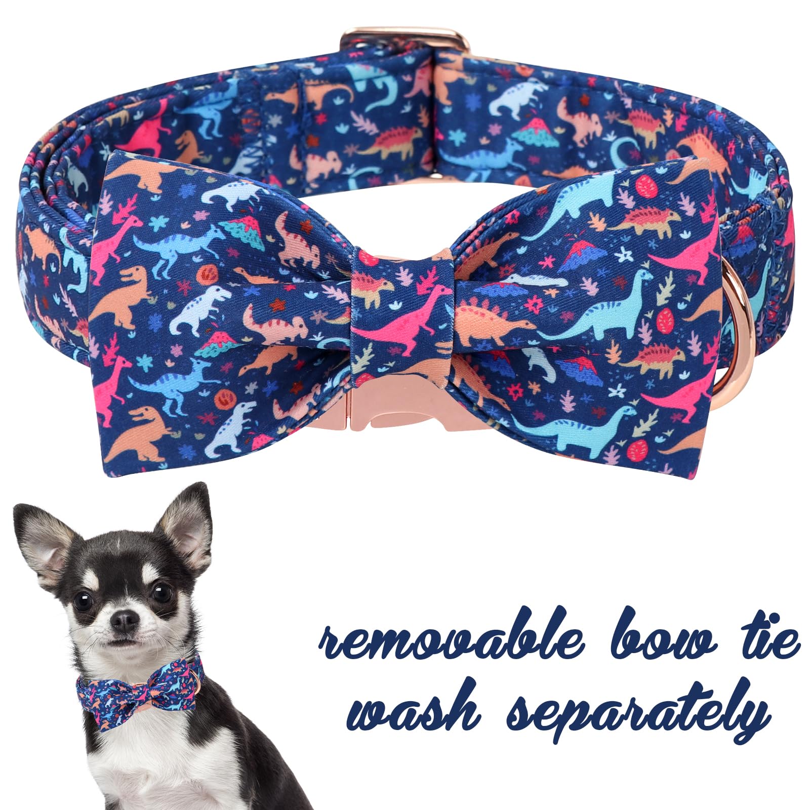 Unique Style Paws dinosaur park pattern collar detail highlights playful design for spring days.