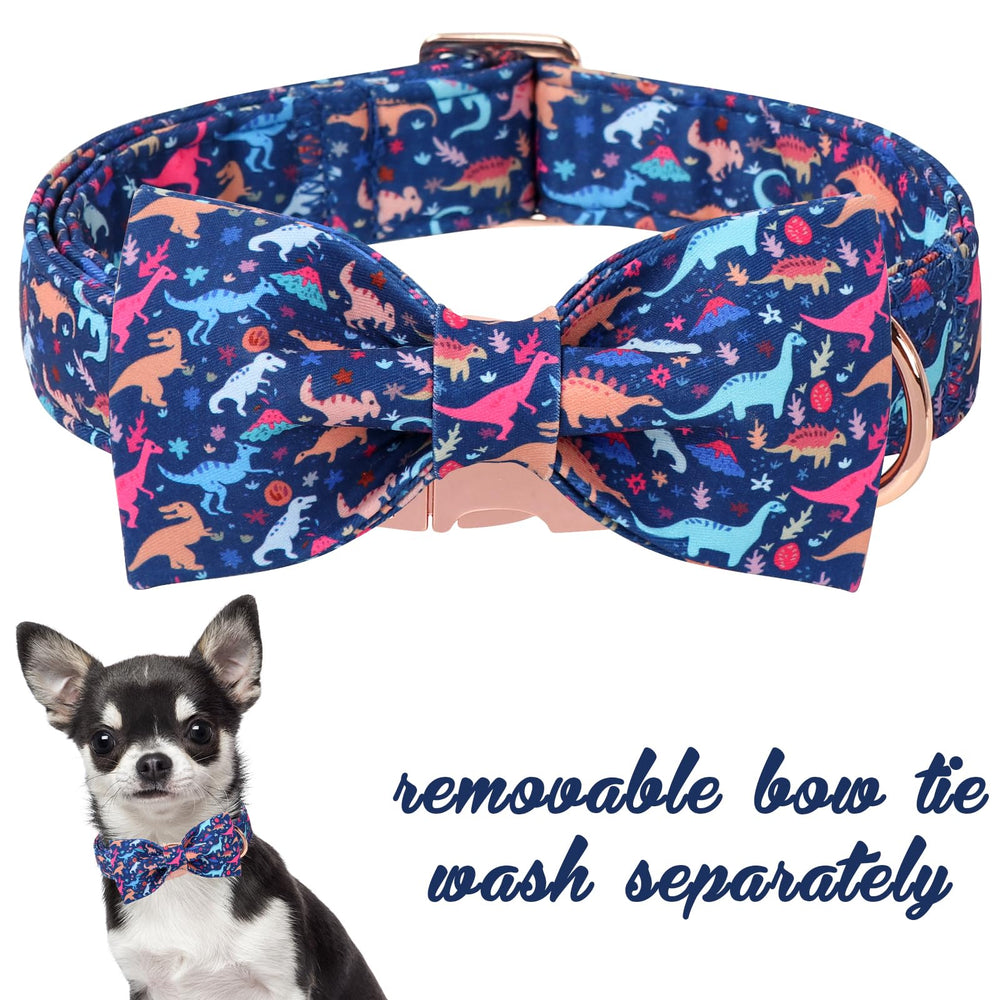 Unique Style Paws dinosaur park pattern collar detail highlights playful design for spring days.