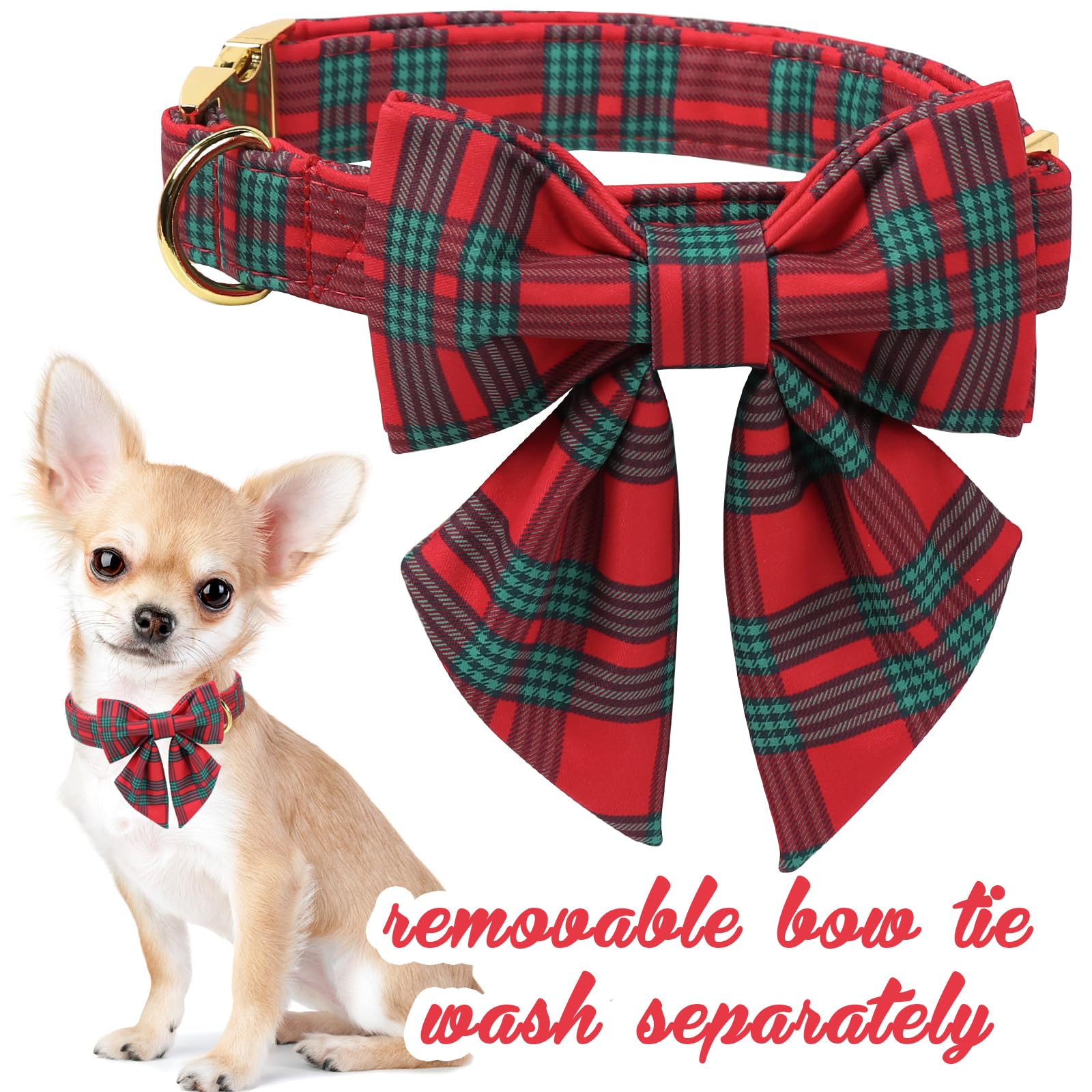 Unique Style Paws adjustable dog collar from XS to XL for secure, comfortable fit.