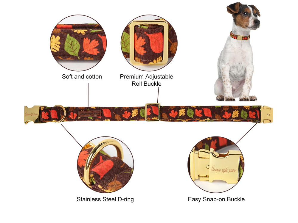 Unique Style Paws buckle close-up highlighting anti-slip design and durability