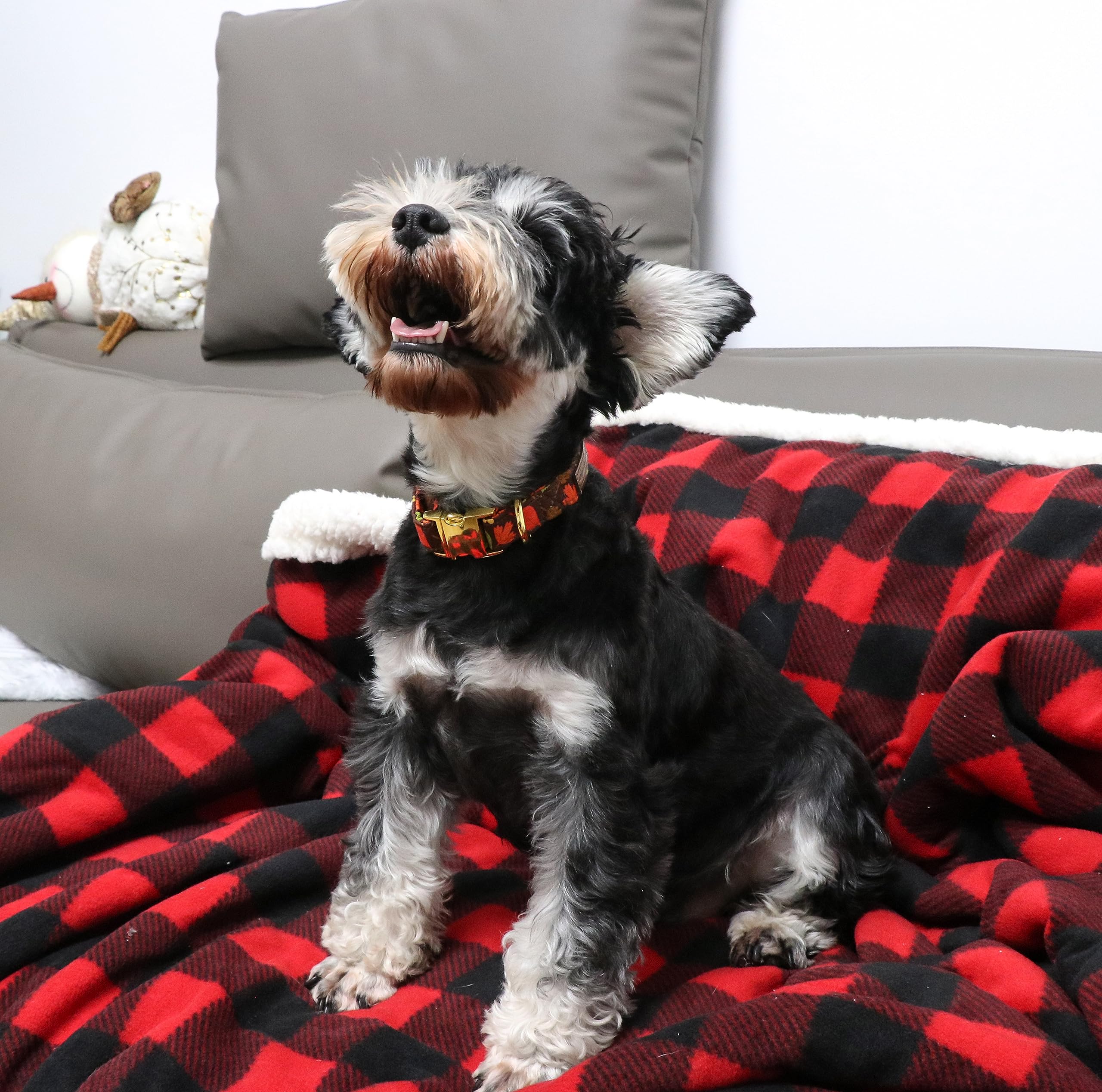 Unique Style Paws D-ring detail emphasizes secure leash attachment