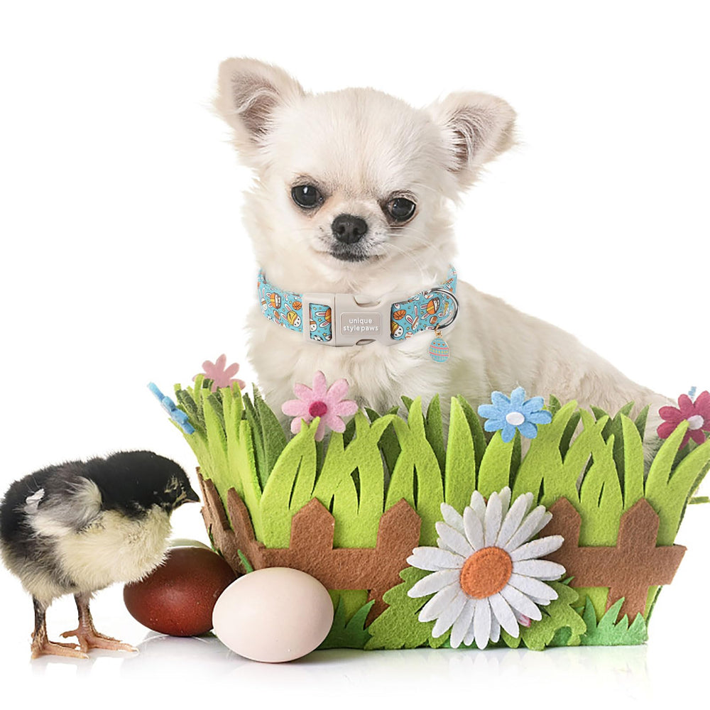 Unique style paws dog collar outdoor wear blue egg ball detail supports versatile use.