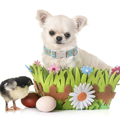 Unique style paws dog collar outdoor wear blue egg ball detail supports versatile use.