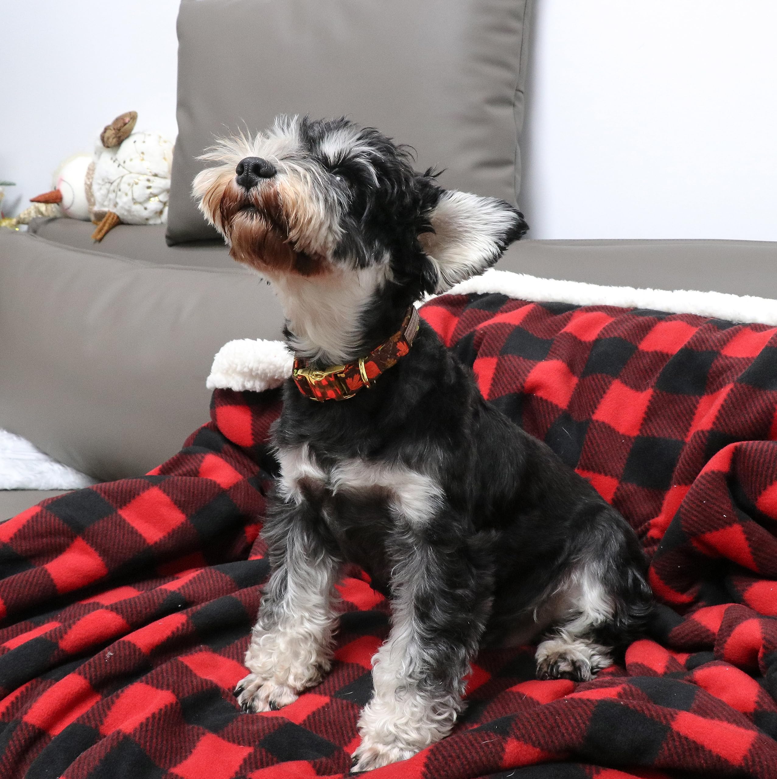 Unique Style Paws side profile demonstrates adjustable fit for growing dogs