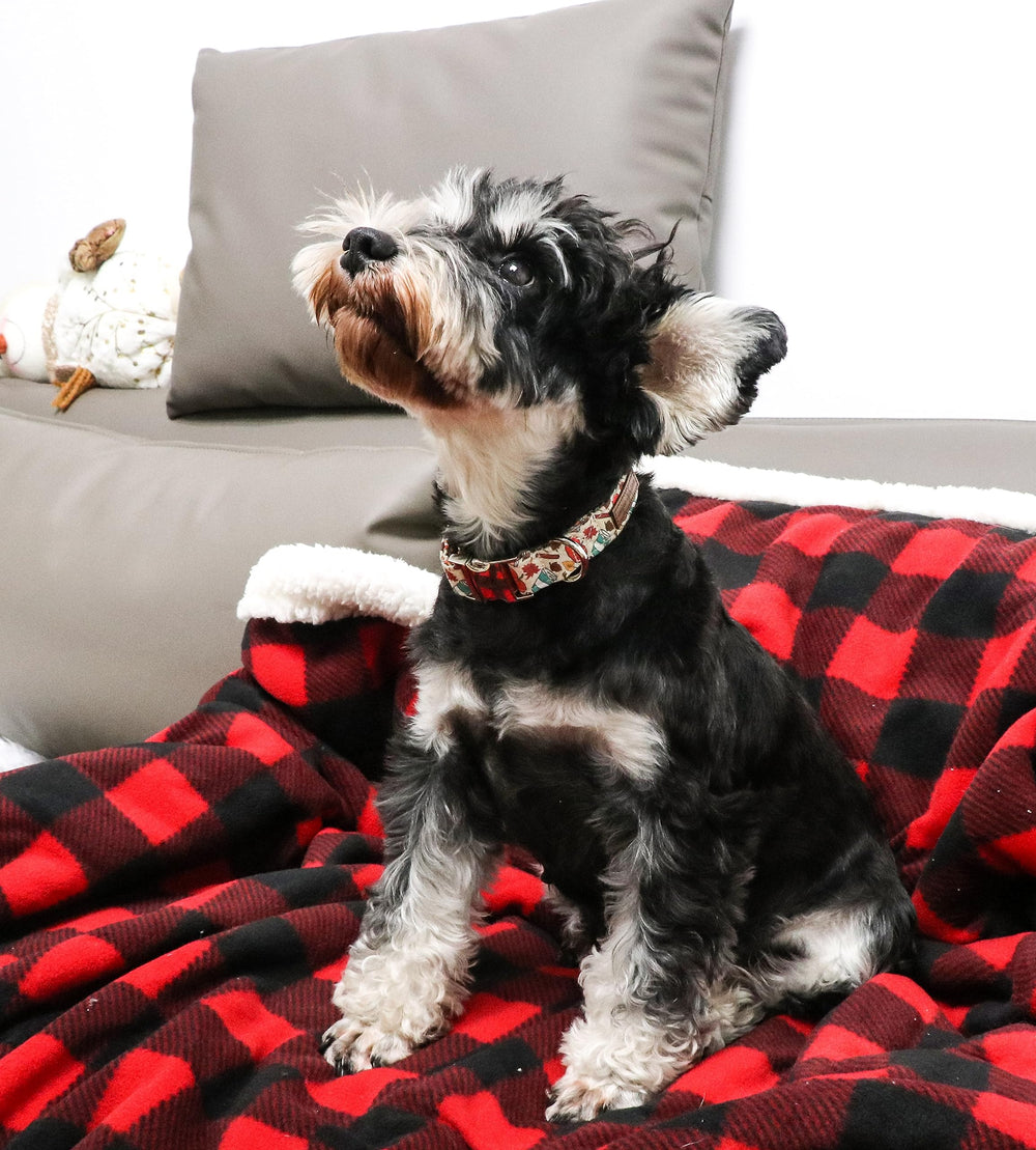 Unique Style Paws adjustable dog collar available in five sizes for all breeds.