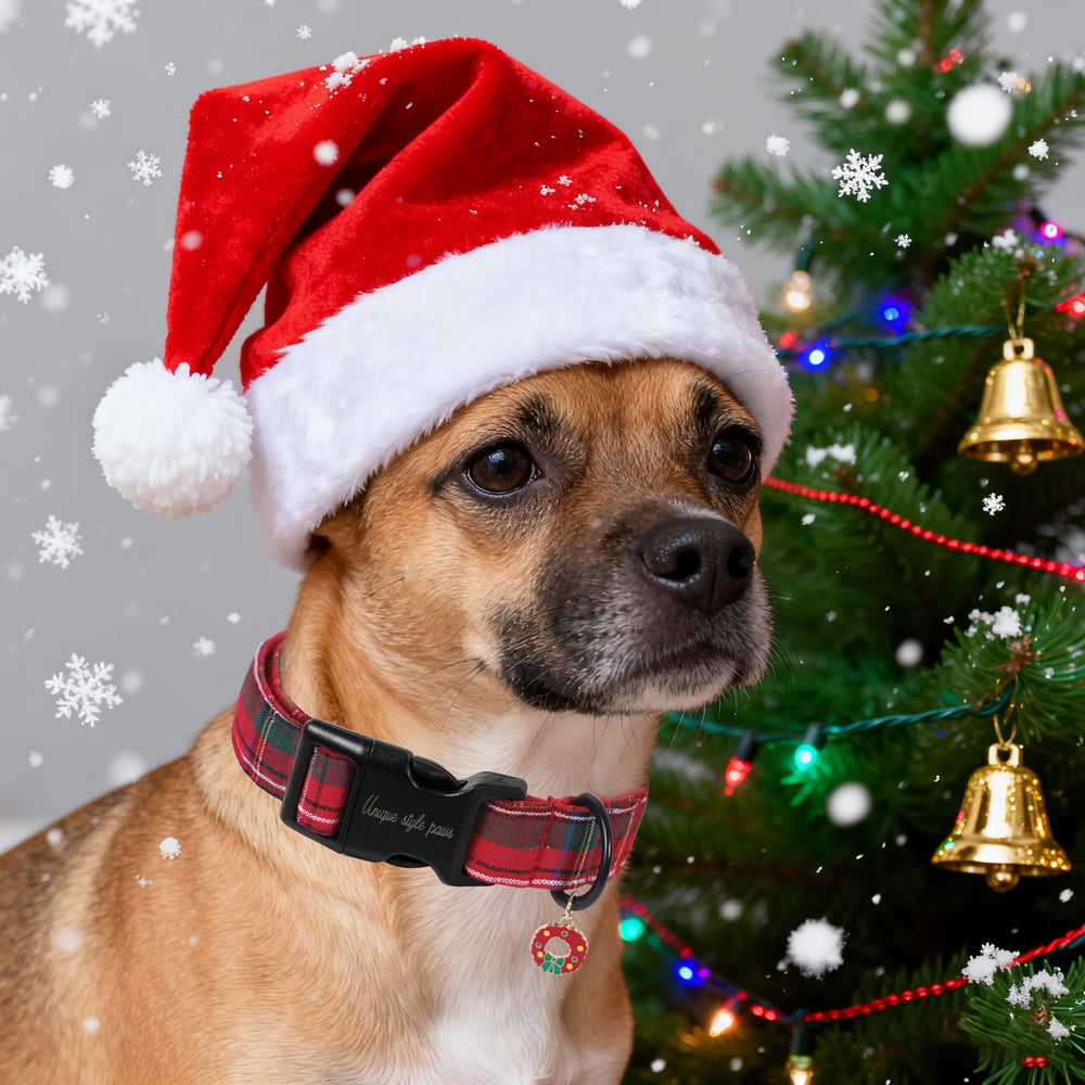 Unique Style Paws dog walking holiday image showing versatility for indoor and outdoor wear