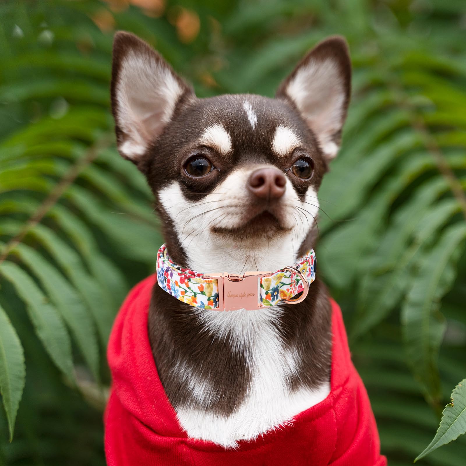 Unique Style Paws cotton collar detail showing soft, skin-friendly material