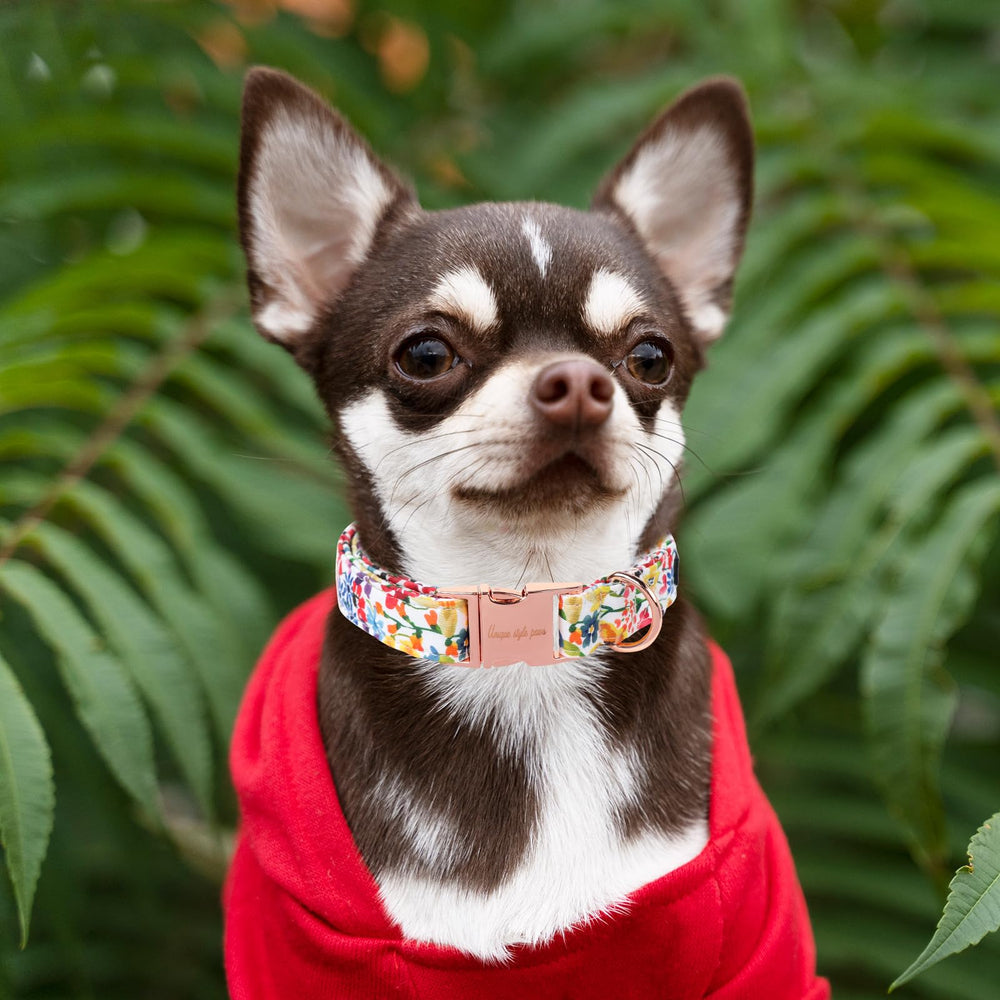 Unique Style Paws cotton collar detail showing soft, skin-friendly material