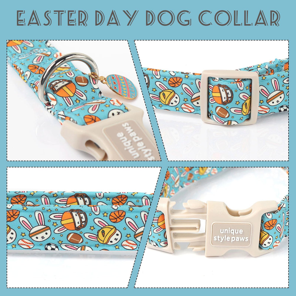 Unique style paws Easter design collar blue pattern for playful holiday photos.
