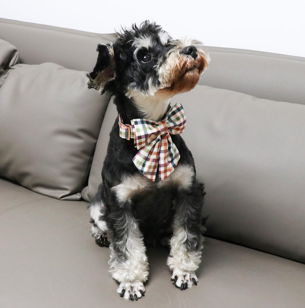 Unique Style Paws floral plaid collar front showcases vibrant color and bow.