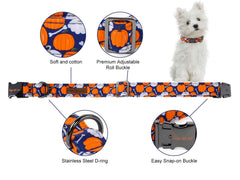 Unique Style Paws Halloween-pattern collar displays festive design for seasonal photos.