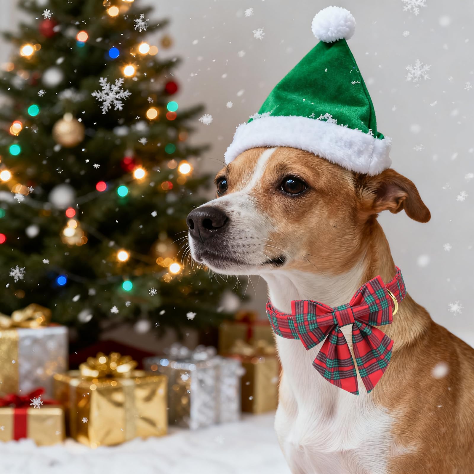 Unique Style Paws holiday-wear for indoor and outdoor dog adventures in durable cotton.