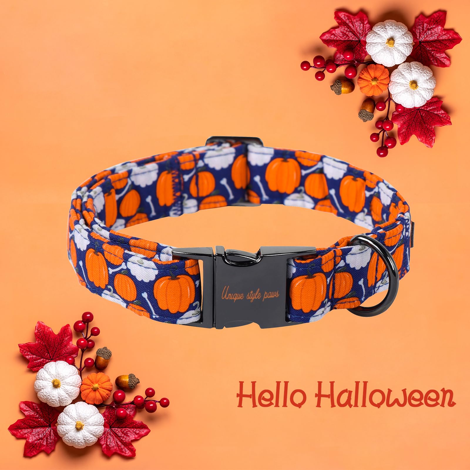 Unique Style Paws collar in casual indoor/outdoor setting for gatherings.