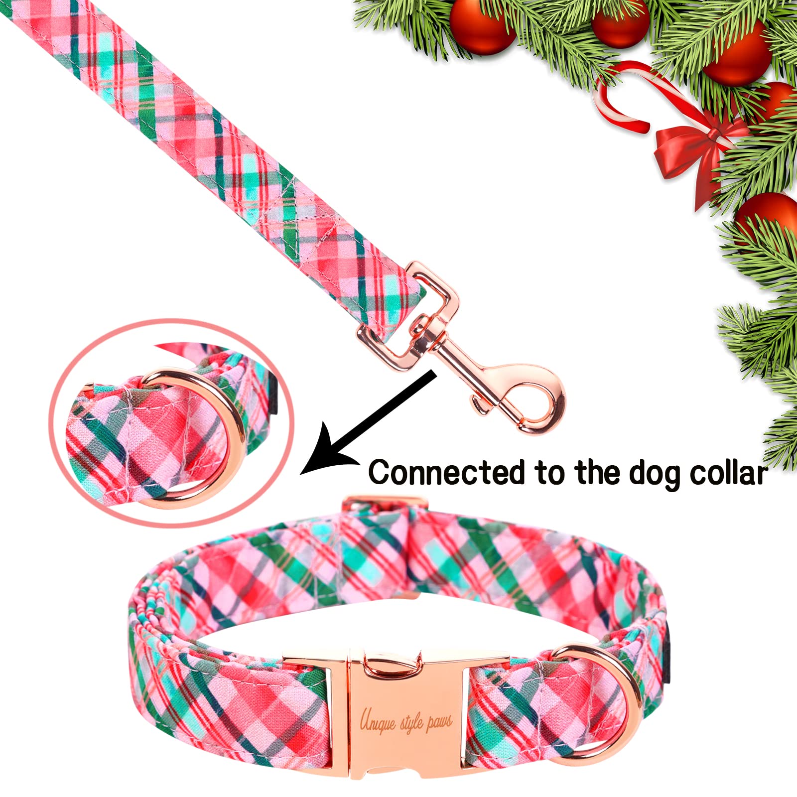 Unique style paws pink-green grid collar-match emphasizes coordinated look for outings.