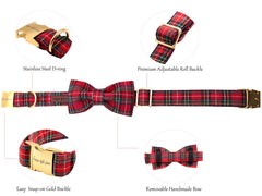 Unique Style Paws removable bow attachment showcases detachable style option.