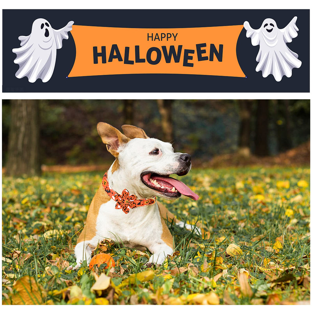 Unique style paws design celebrates seasonal flair for Christmas, Thanksgiving, Halloween and more