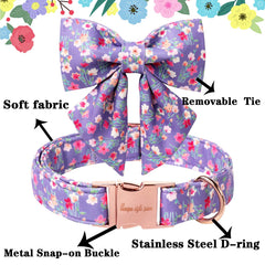 Unique Style Paws adjustable metal buckle ensures a comfortable fit as your dog grows.