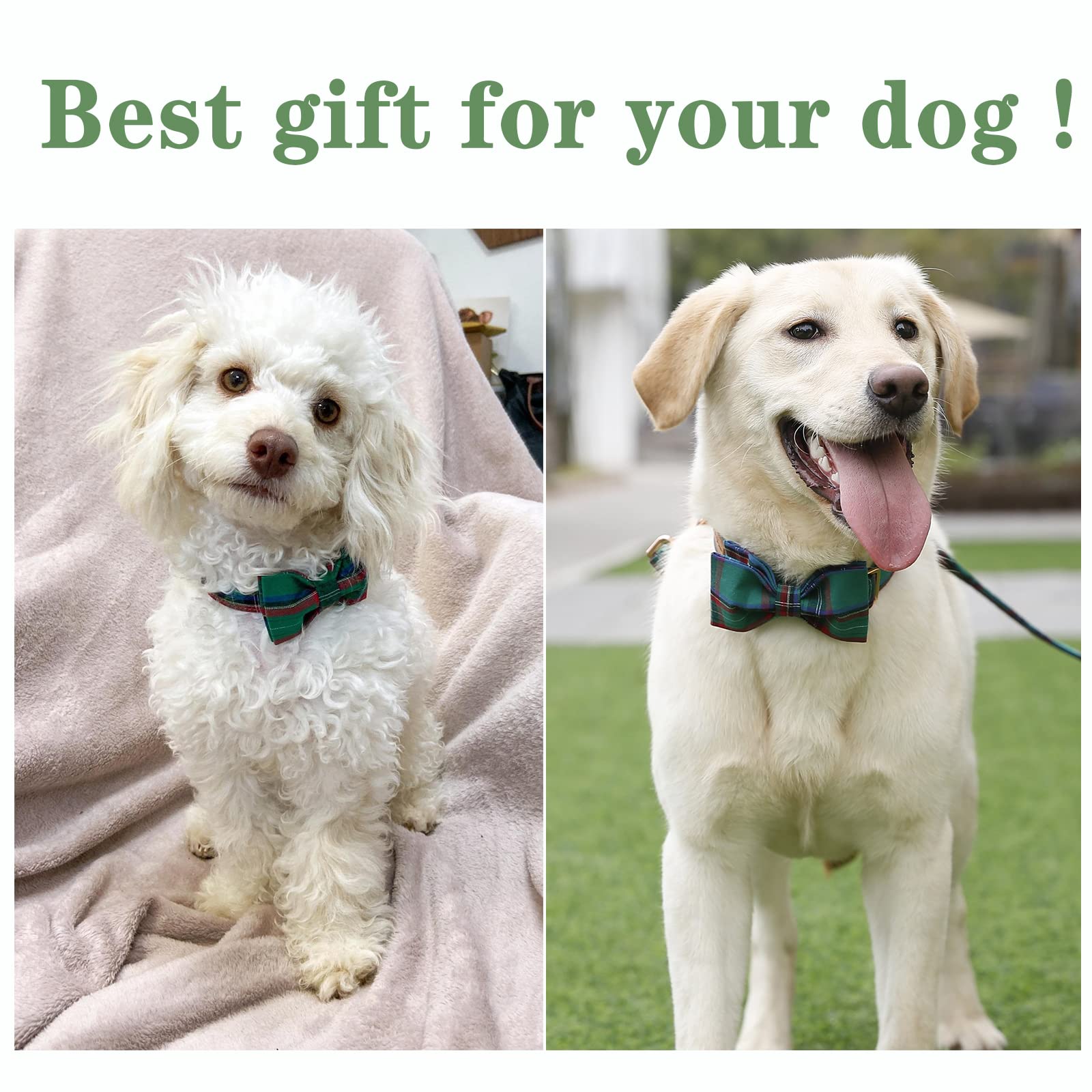 Unique Style Paws collar size range from XS to XL for growing dogs.