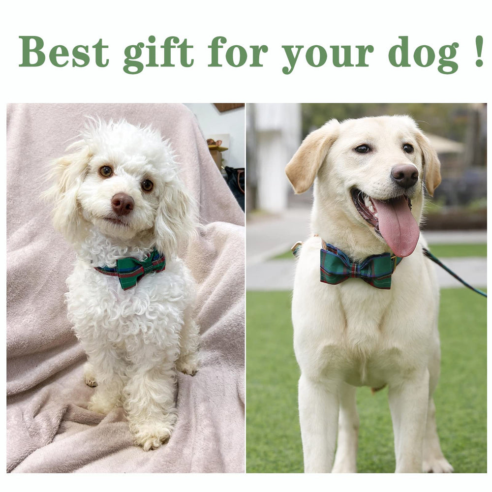 Unique Style Paws collar size range from XS to XL for growing dogs.