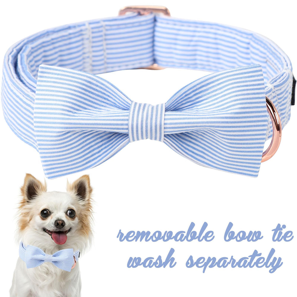 Unique Style Paws floral pink bowtie collar adds charming flair for walks.