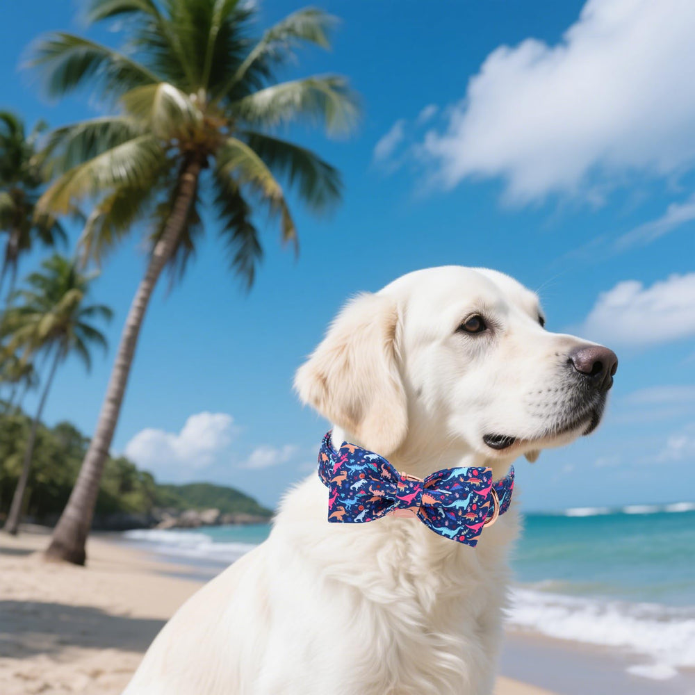 Unique Style Paws spring-summer collar worn on a small dog for everyday adventures.
