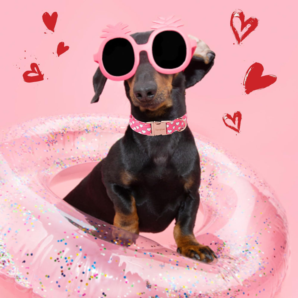 Unique Style Paws Valentine dog collar indoor party use adds festive flair