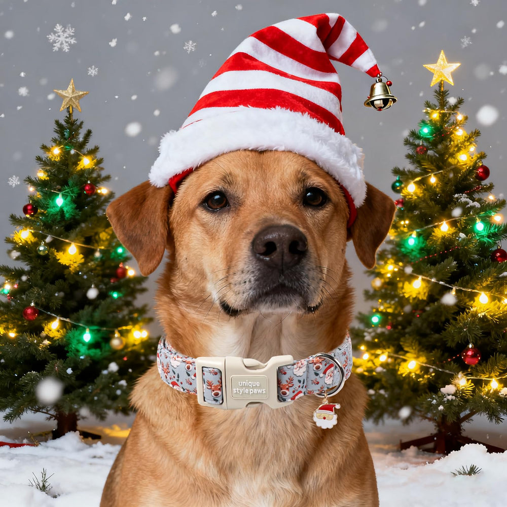 Unique Style Paws adjustable collar covers XS to XL sizes for every pup.