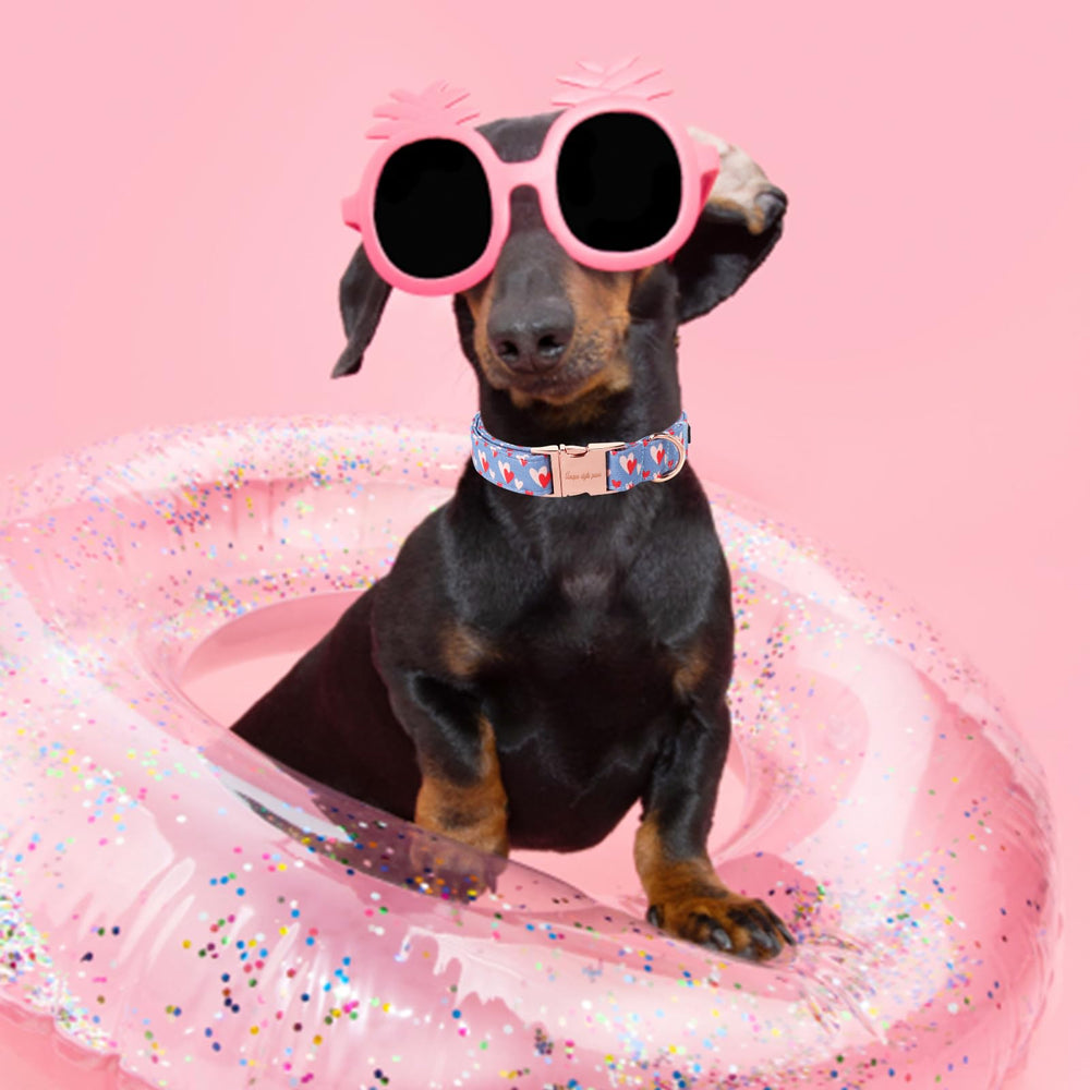Unique Style Paws welded metal D-ring ensures secure leash attachment