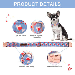 Unique Style Paws adjustable blue-pink collar for growing dogs