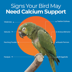 UnRuffledRx Bird Calcium Plus ingredients label highlights magnesium and vitamin D3.