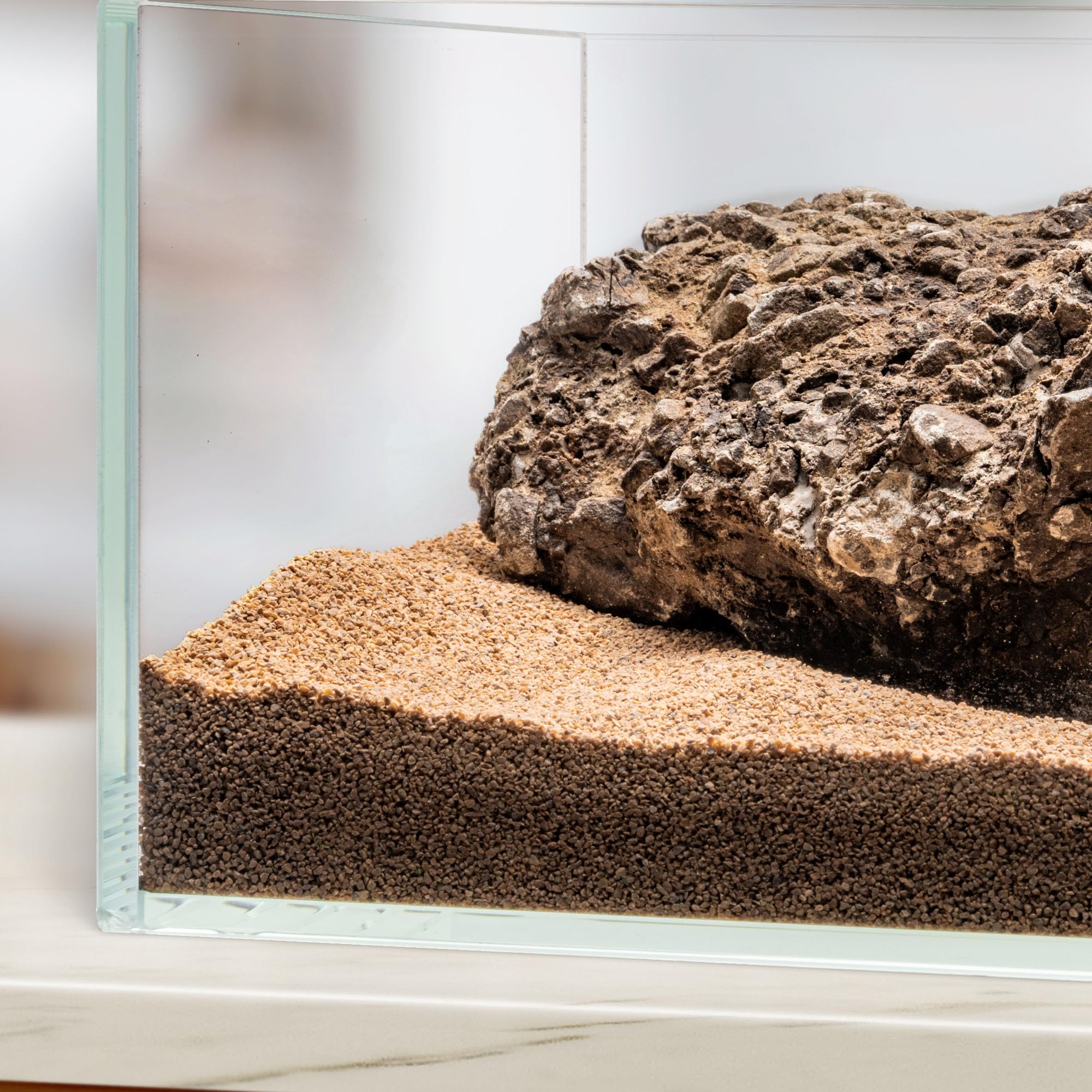 Ultum Nature Systems UNS Controsand Mojave; driftwood backdrop enhances warm aquascape tones.