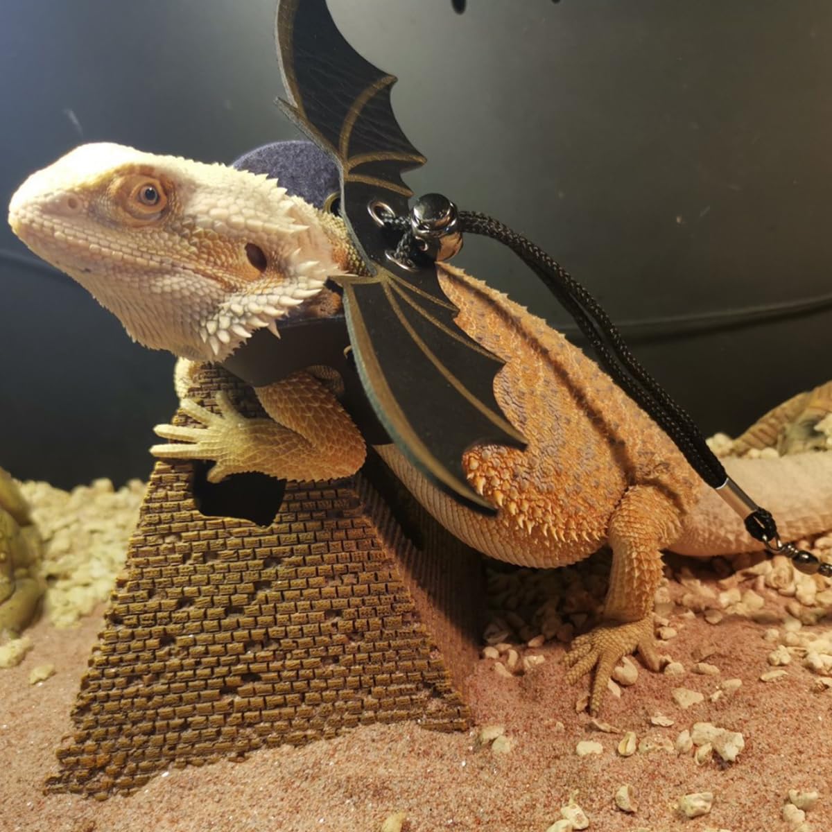 UOOPET Bearded Dragon Backpack Durable 600D Oxford fabric resists wear in everyday journeys.
