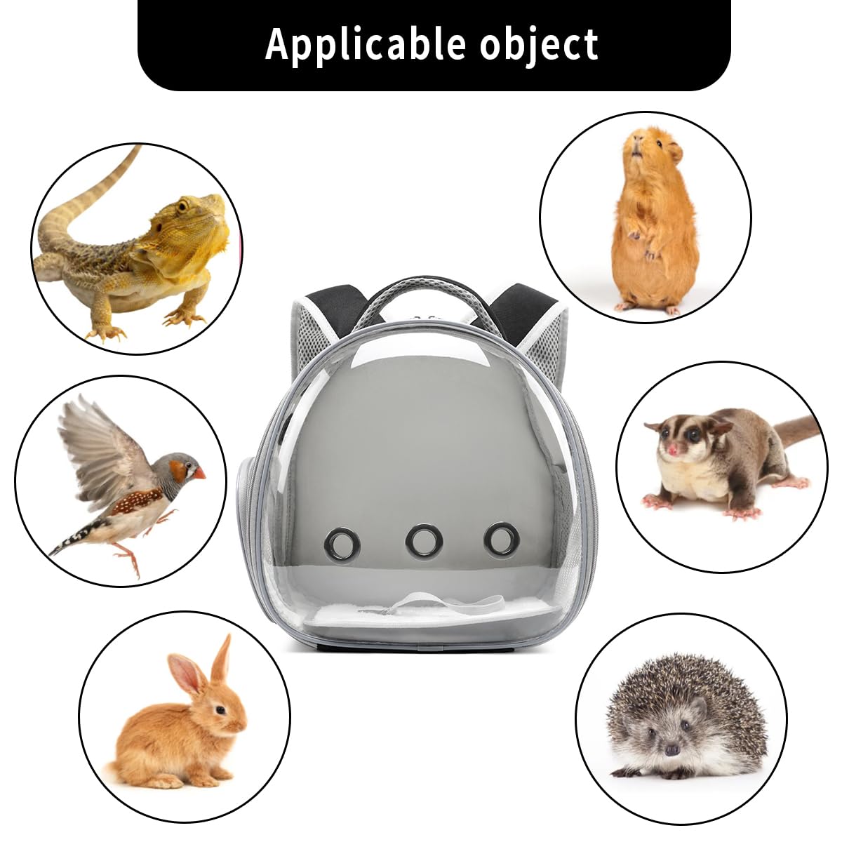 UOOPET Bearded Dragon Backpack Easy clean design with removable mat simplifies after travel cleanup.