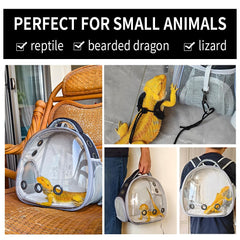 UOOPET Bearded Dragon Backpack Leash Set provides secure outdoor control during adventures.