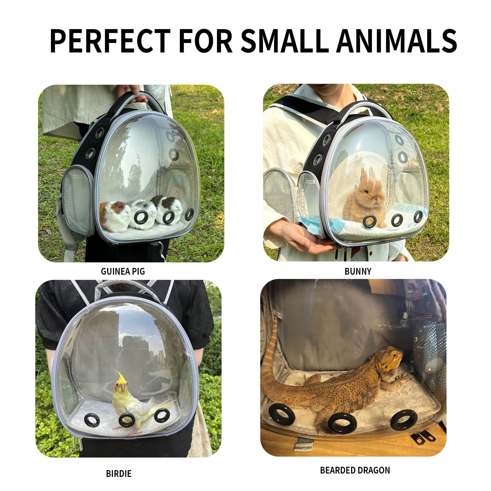 UOOPET Bearded Dragon Backpack Ventilation highlights breathable mesh and multiple vents for comfortable breaths.