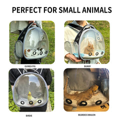 UOOPET Bearded Dragon Backpack Ventilation highlights breathable mesh and multiple vents for comfortable breaths.