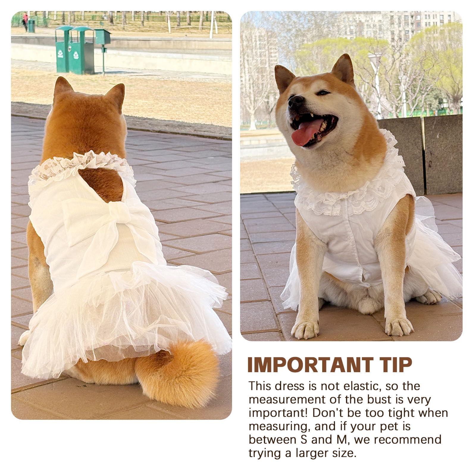 UOSIA dog-costume-shiny-lines-under-lights catches attention in photos and events.