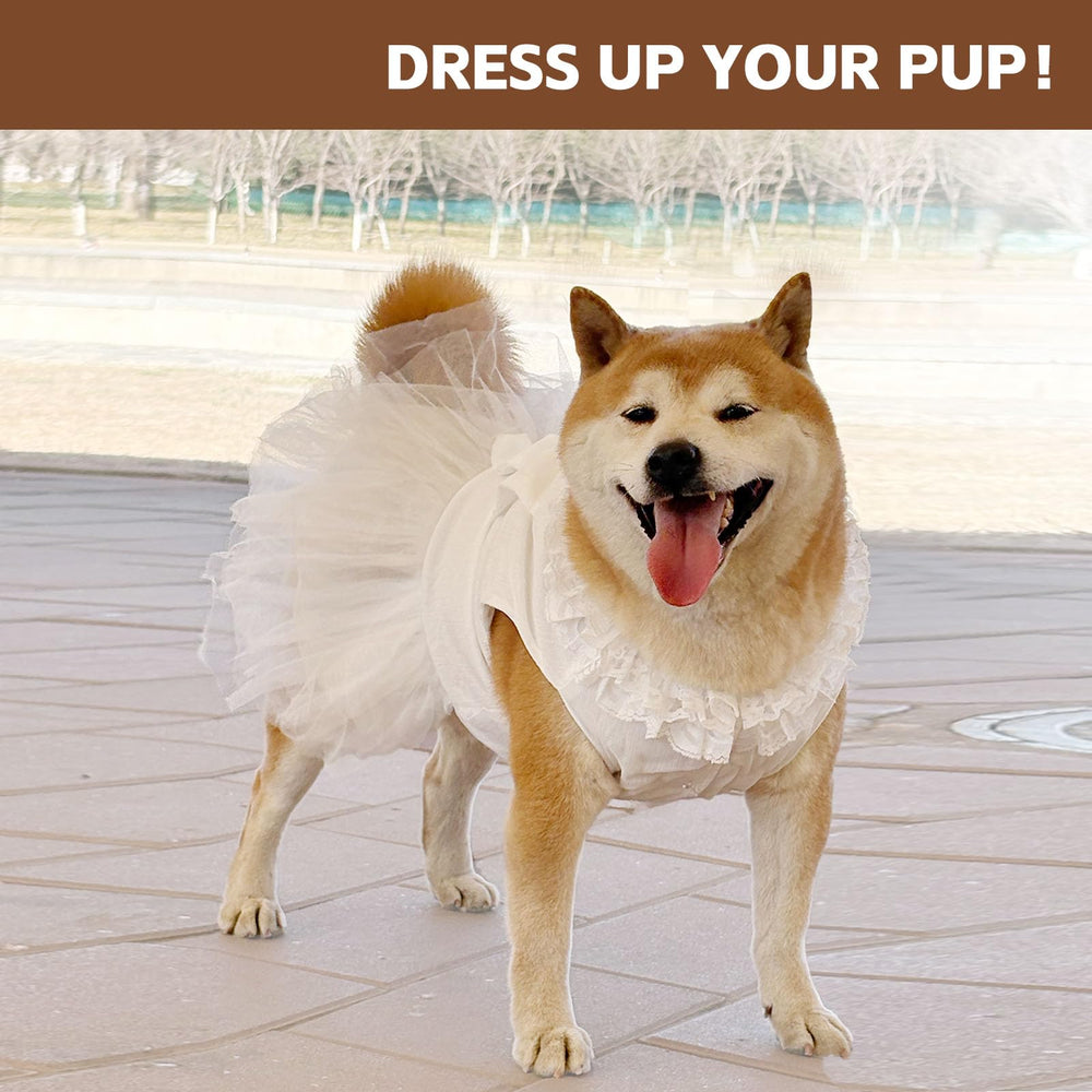 UOSIA dress-easy-to-wear-fast-on-off simplifies dressing your dog for photos and outings.