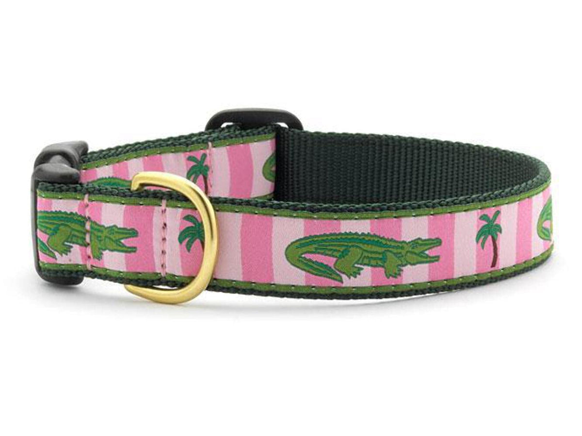 Up Country Alligator collar narrow 5/8 inch—durable daily wear shown in collar close-up