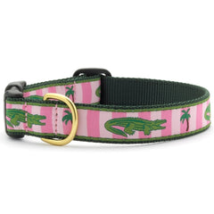Up Country Alligator dog collar, 1-inch width, durable nylon for everyday wear