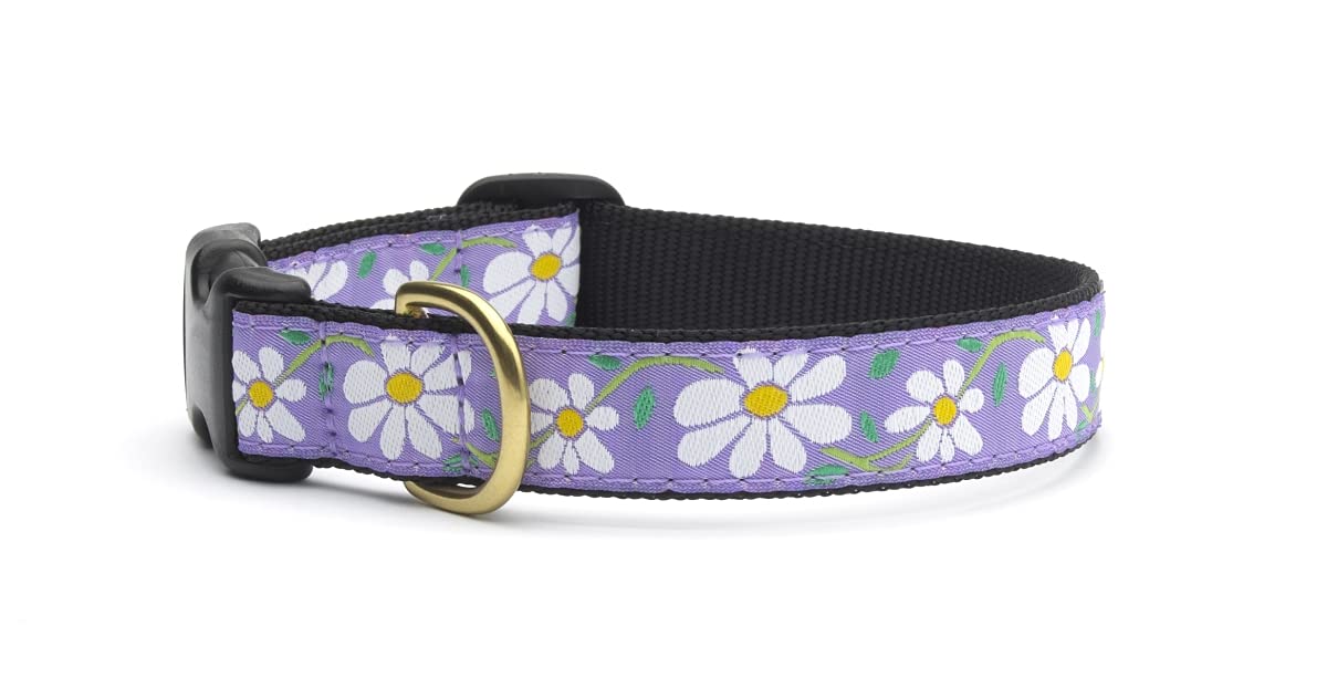 Up Country Daisy Pattern dog collar front view highlights durable nylon webbing for daily wear.