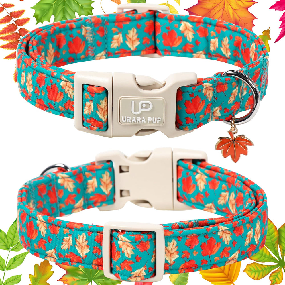 UP URARA PUP adjustable quick-release collar shown on easy-on/off daily wear.