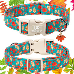 UP URARA PUP adjustable quick-release collar shown on easy-on/off daily wear.