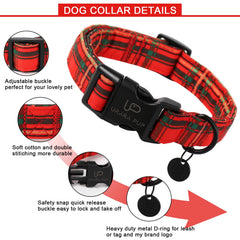 UP URARA PUP adjustable collar for a secure, comfy fit