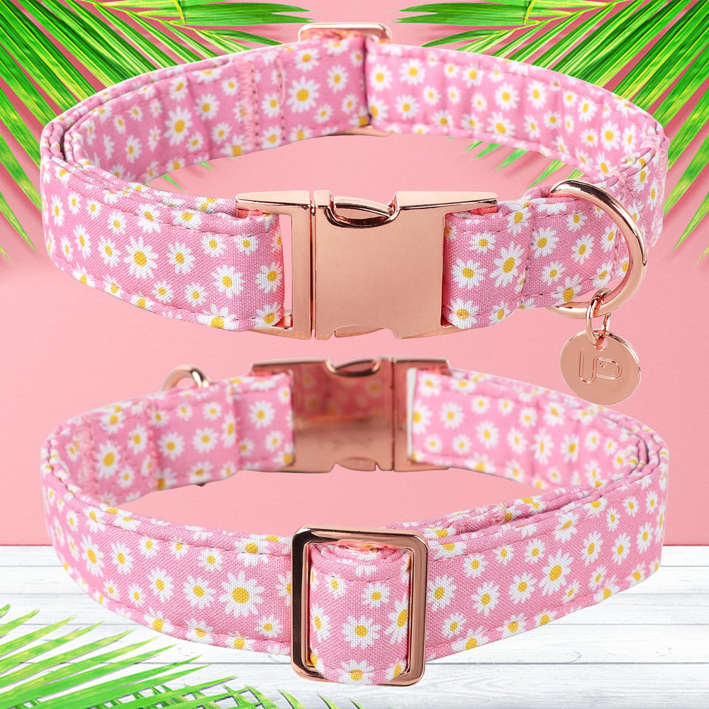 UP URARA PUP daisy summer collar buckle close-up highlights durable metal clasp.