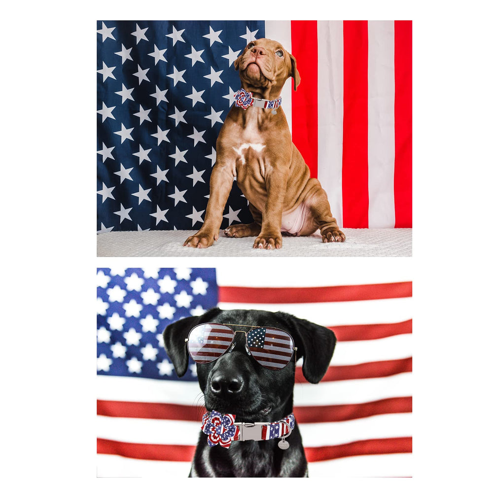 UP URARA PUP dog model wearing American flag collar showcases festive style.