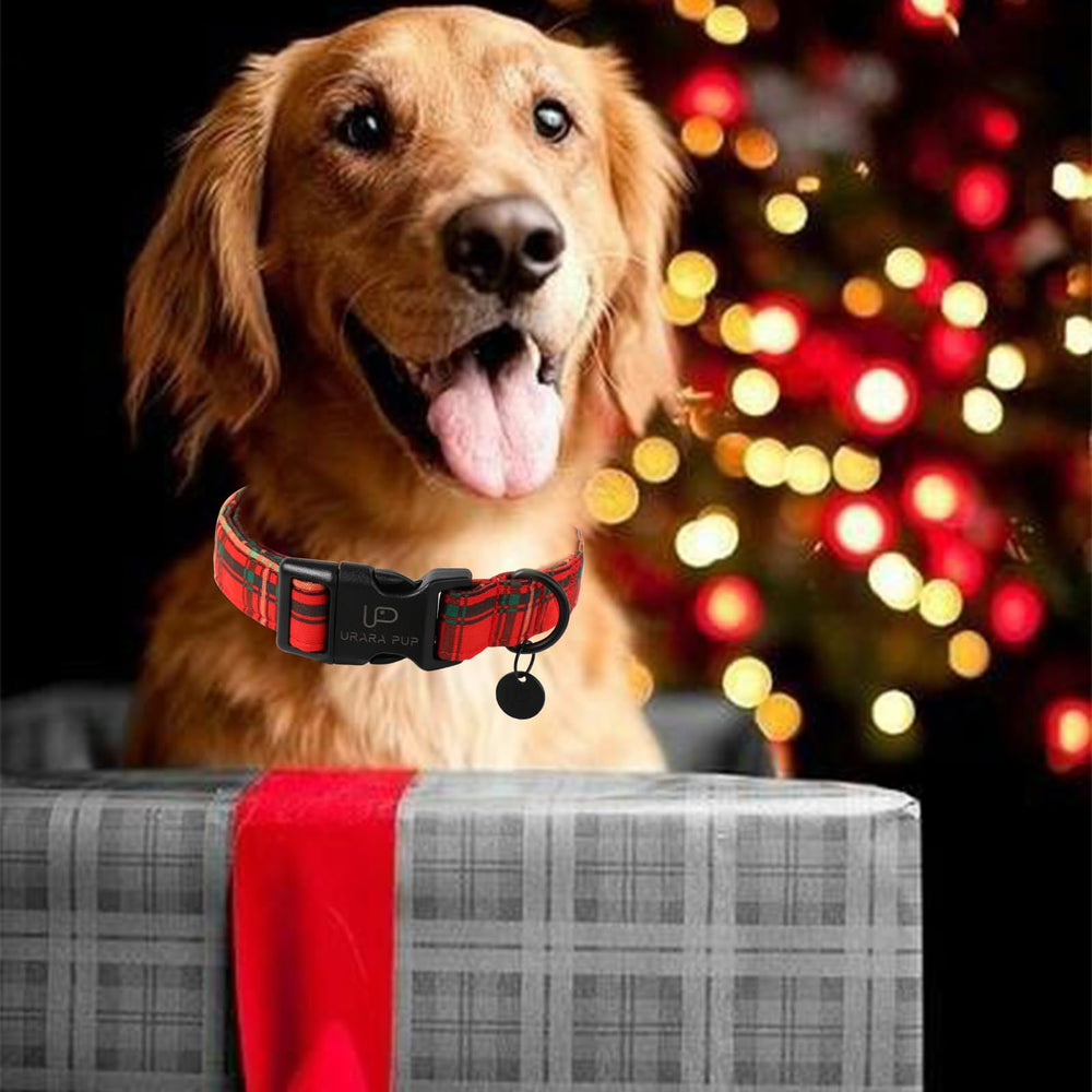 UP URARA PUP holiday-ready plaid collar for festive walks