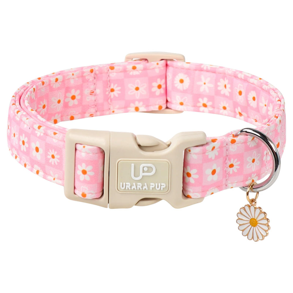 UP URARA PUP Summer Daisy Design collar for sunny walks and photo-worthy moments