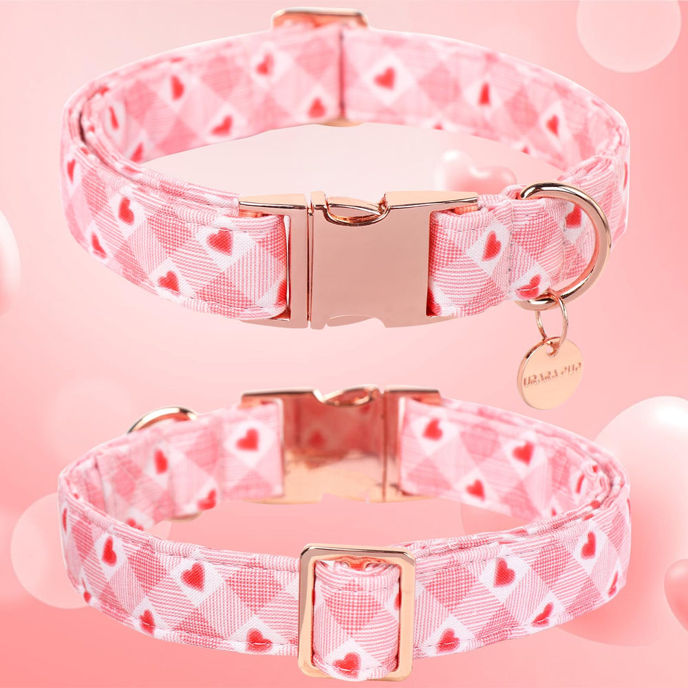 UP URARA PUP Valentine collar adjustable buckle close-up highlights durable metal clasp